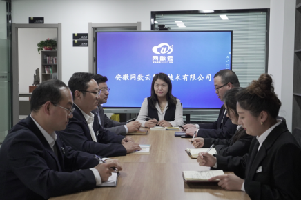 安徽网数云智能技术有限公司