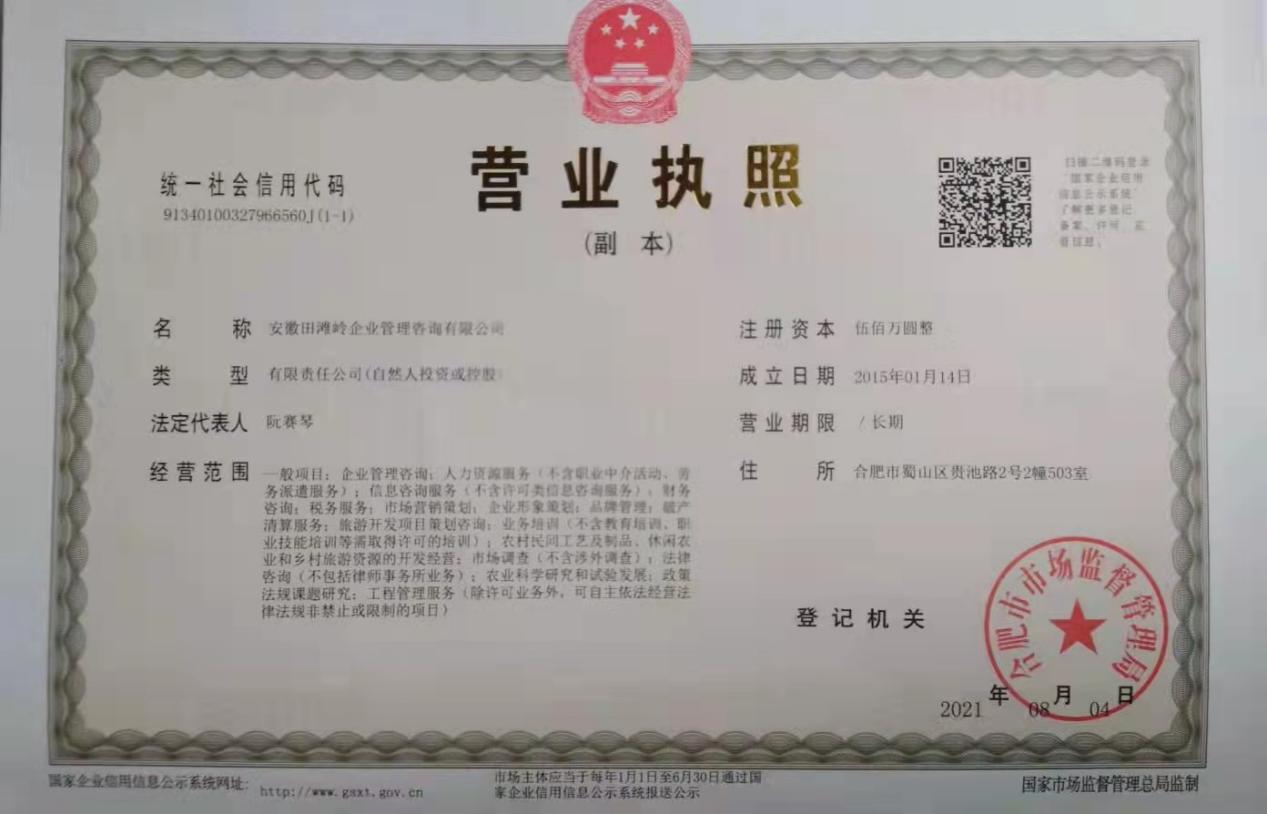 安徽田滩岭企业管理咨询有限公司